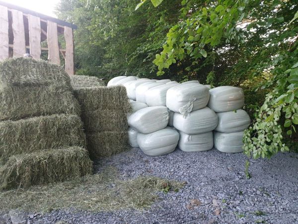 Small Square bales of Haylage
