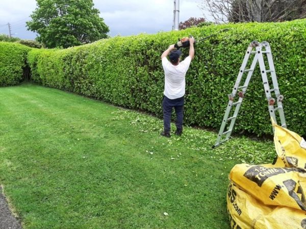 Lawn cutting hedge trimming tree topping gutter cl