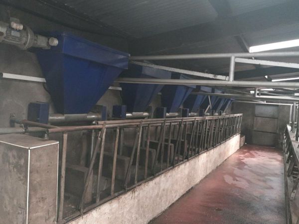14 Dairymaster milking machine