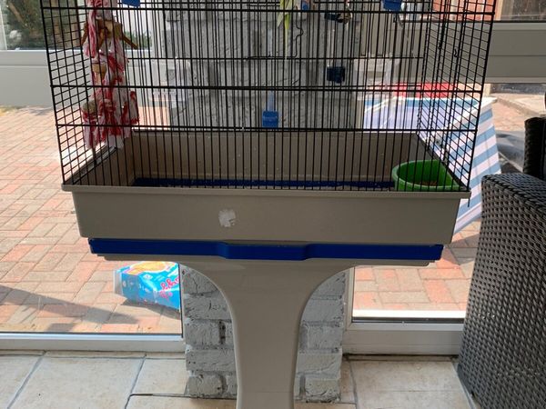 Budgies & Cage