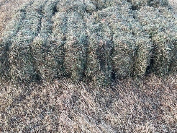 2023 chemical free hay - just baled