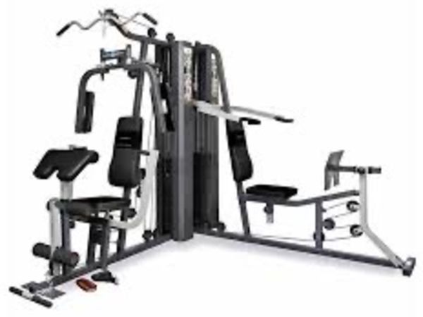 Multi Gym and 40kg weights set