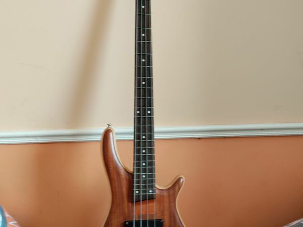 4+string Bass Guitar
