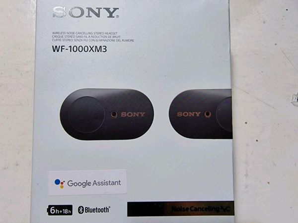 Sony WF-1000XM3 earphones
