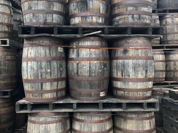 Oak whiskey barrels