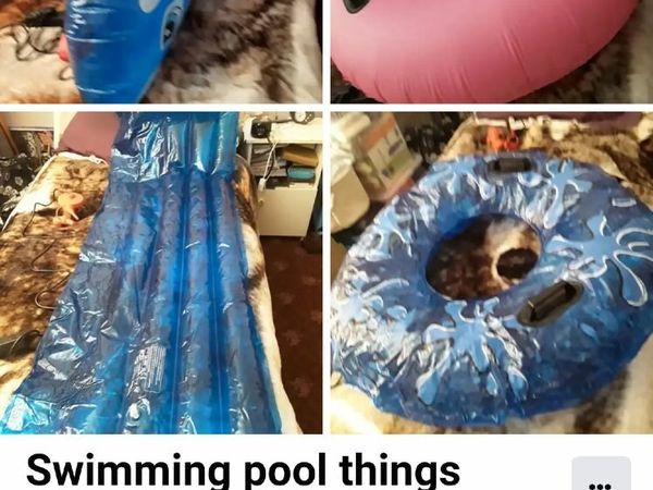 Swimming pool inflatables