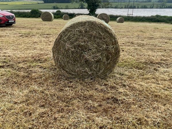 Top quality hay