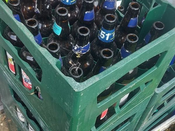 Beer Cider Bottles in Crates Home Brew
