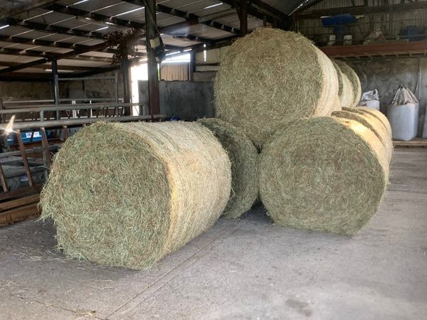Good quality hay