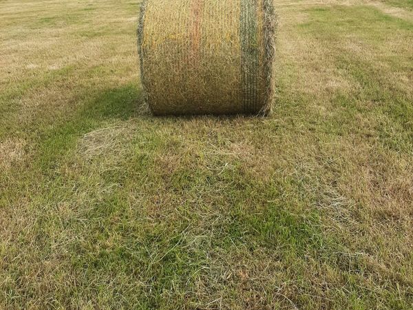 Round Bales Hay