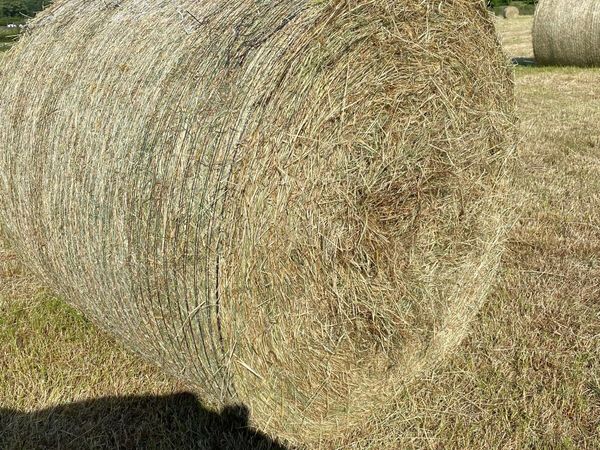 Round Hay bales