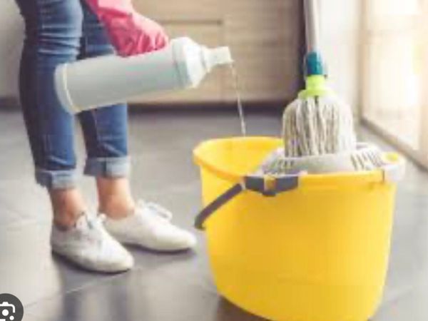 Looking for a house cleaner in swords