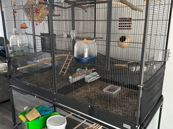 Bird Cage Aviary