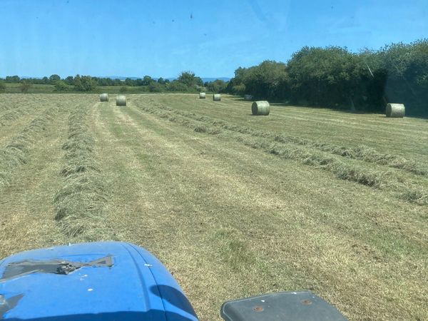 2023 Green Hay and golden straw