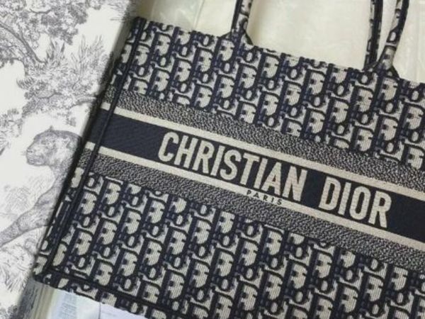 Dior book tote bag original