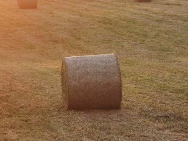 Hay Round Bales - South Kerry