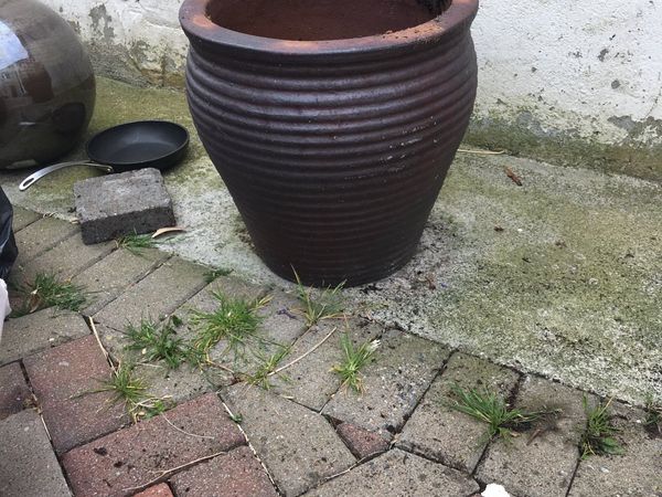 Plant Pot Large
