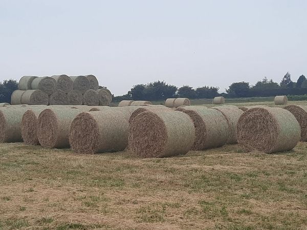 round bales of hay