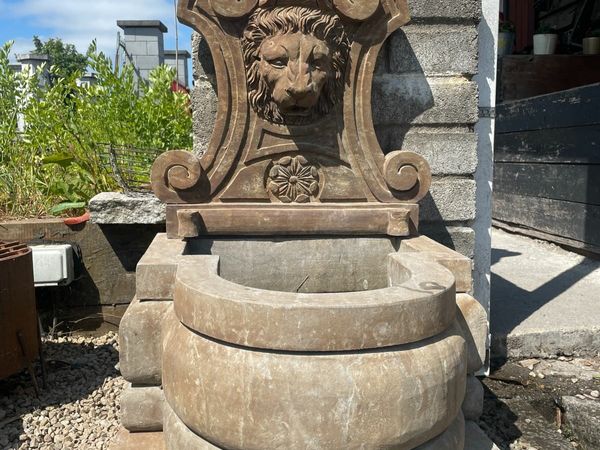 Lions face water feature