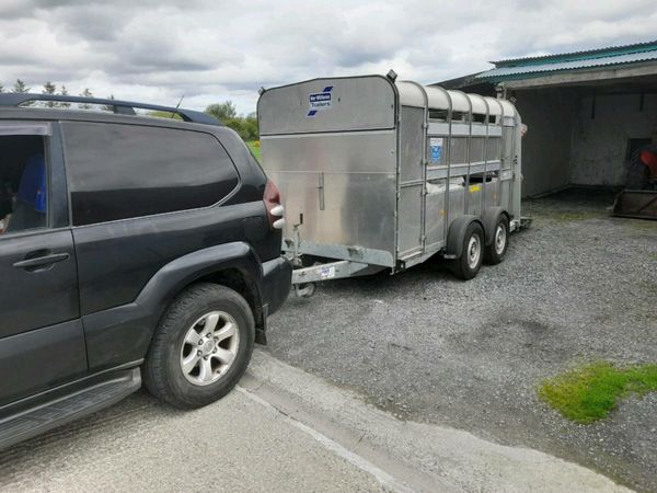 Ifor williams cattle trailer 12×5'10