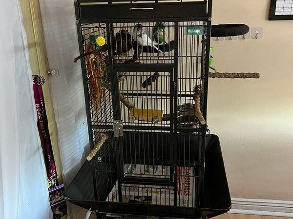 Playtop Bird Cage
