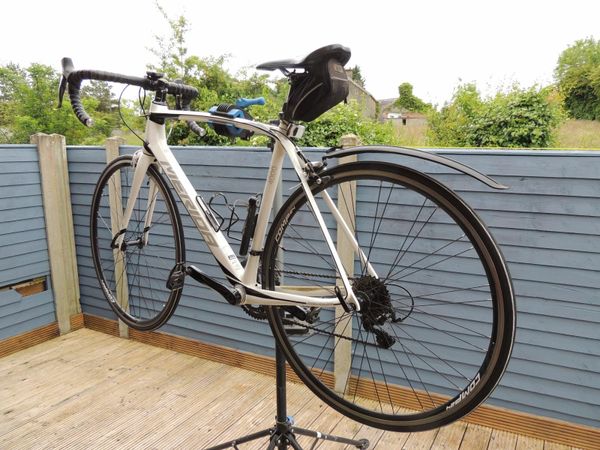 Donedeal 2025 road bikes