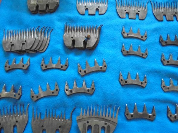 Sheep shearing Combs and Cutters