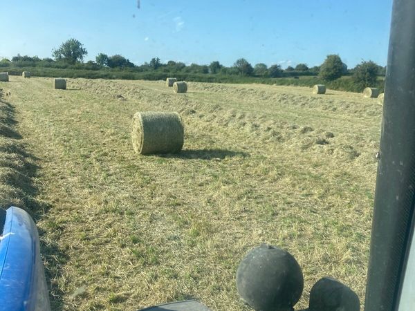 Round bales of hay