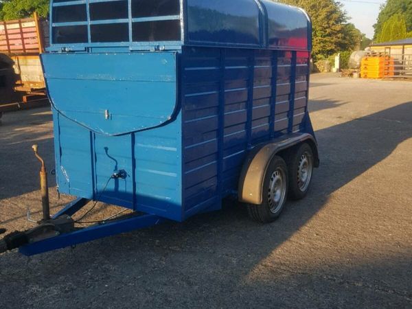 8 by 4ft 3 cattle,sheep trailer