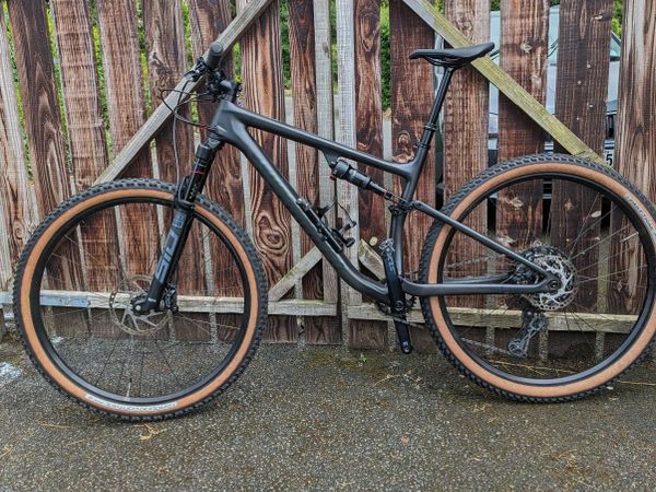 specialized e mtb