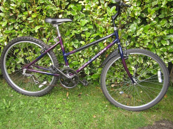 Raleigh purple best sale ladies bike