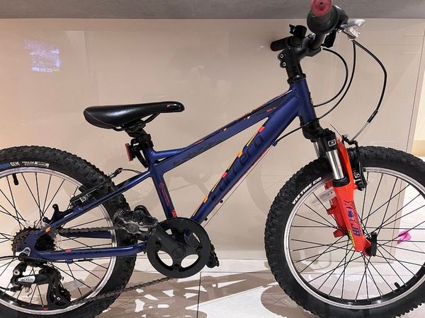 Carrera 24 inch online mountain bike