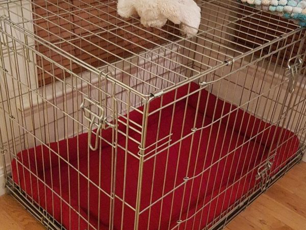 Dog kennels for outlet sale done deal