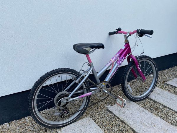 Girls Bike near UCD Raleigh Krush 20 for sale in Co. Dublin for