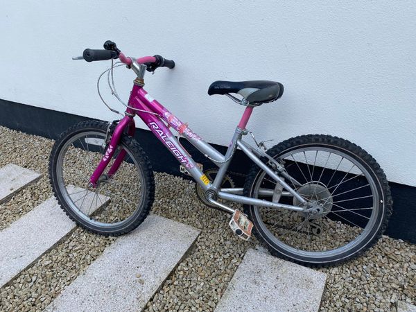 Girls Bike near UCD Raleigh Krush 20 for sale in Co. Dublin for