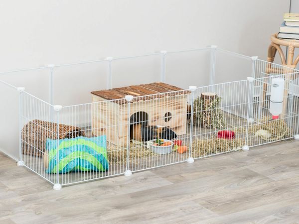 The 6 BEST Indoor Guinea Pig Cages! 