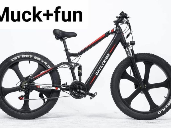 Fiido d1 folding electric bike online