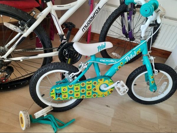 Muddyfox bike hot sale stabilisers