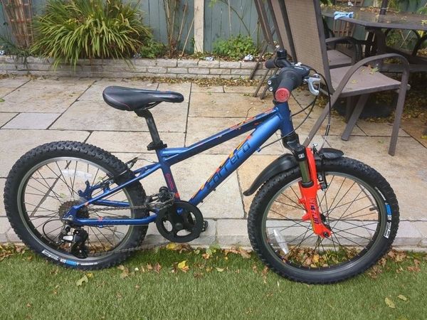 Carrera blast mountain bike online