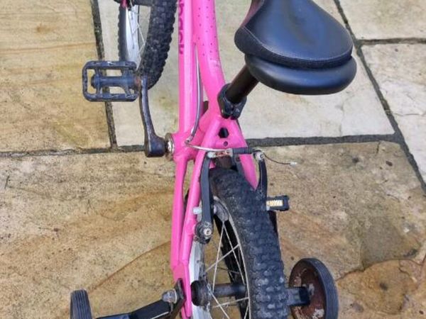 ridgeback honey 14 review