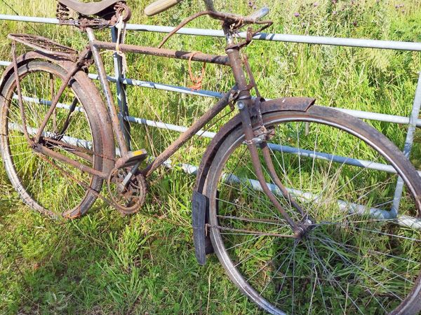 barn find 1 Cycling Ad For Sale in Ireland DoneDeal