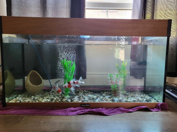 Sell hotsell fish tank