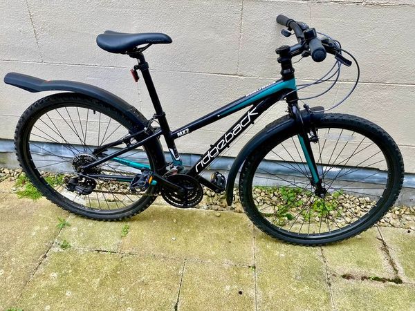 Kid s Mountain Bike Ridgeback MX16 Terrain for sale in Co. Dublin