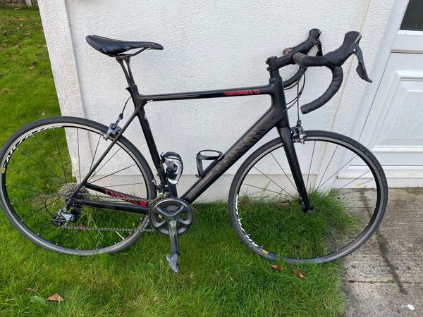 Canyon endurace for discount sale