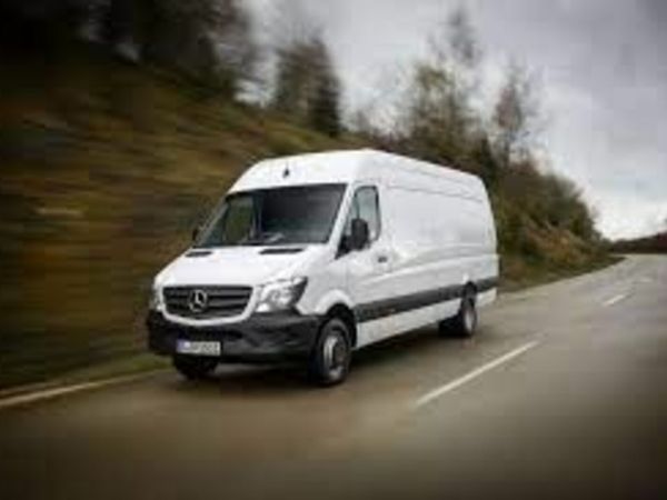 Mens van sale store