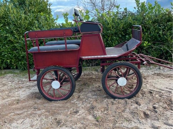 pull along bike attachment