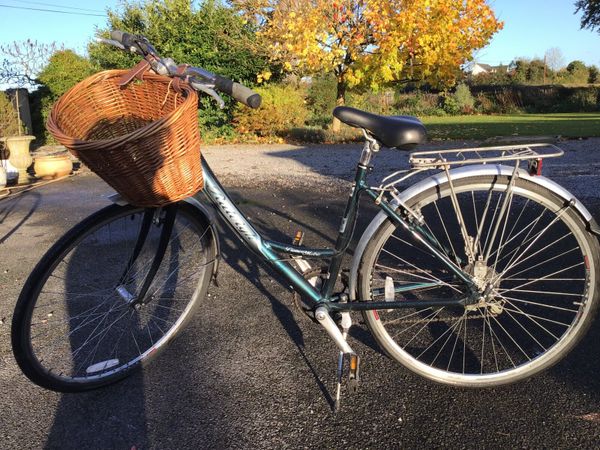 Raleigh pioneer 2024 bike for sale