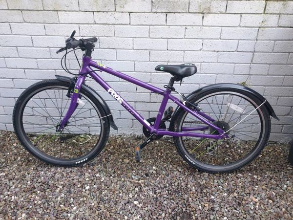 Frog 62 purple store bike