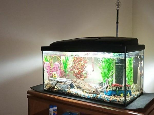 200 litre fish outlet tank