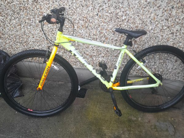 Raleigh daytona best sale mountain bike